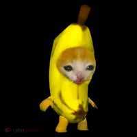 Cute Banana Cat Happy Bananacat Meme Kitty Cat Lovers Meme Coffee Mug thumb 5