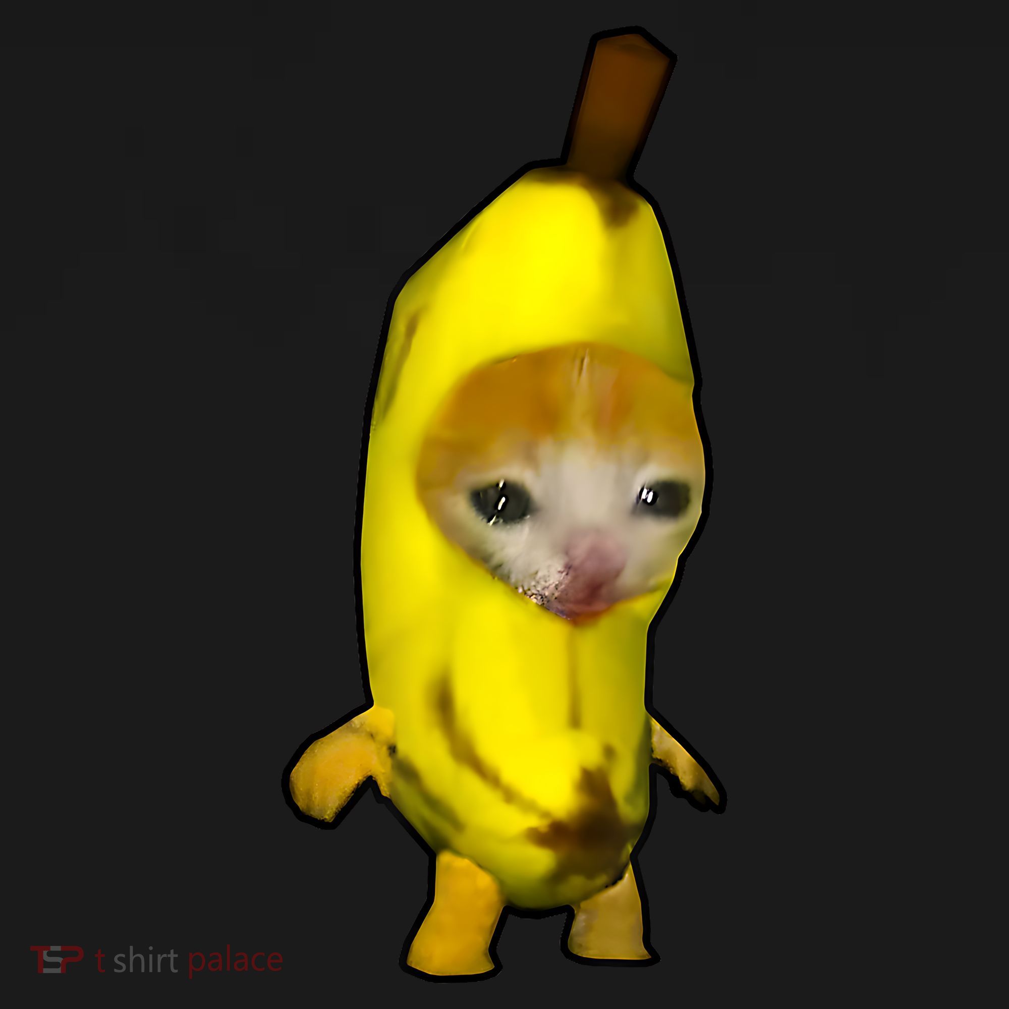 Cute Banana Cat Happy Bananacat Meme Kitty Cat Lovers Meme Women's Hoodie