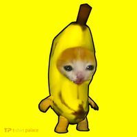Cute Banana Cat Happy Bananacat Meme Kitty Cat Lovers Meme Women's T-Shirt thumb 6