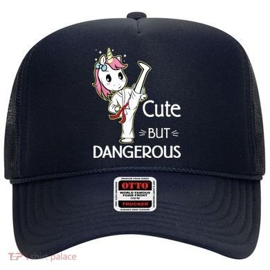 Cute But Dangerous Funny Karate Taekwondo Hat