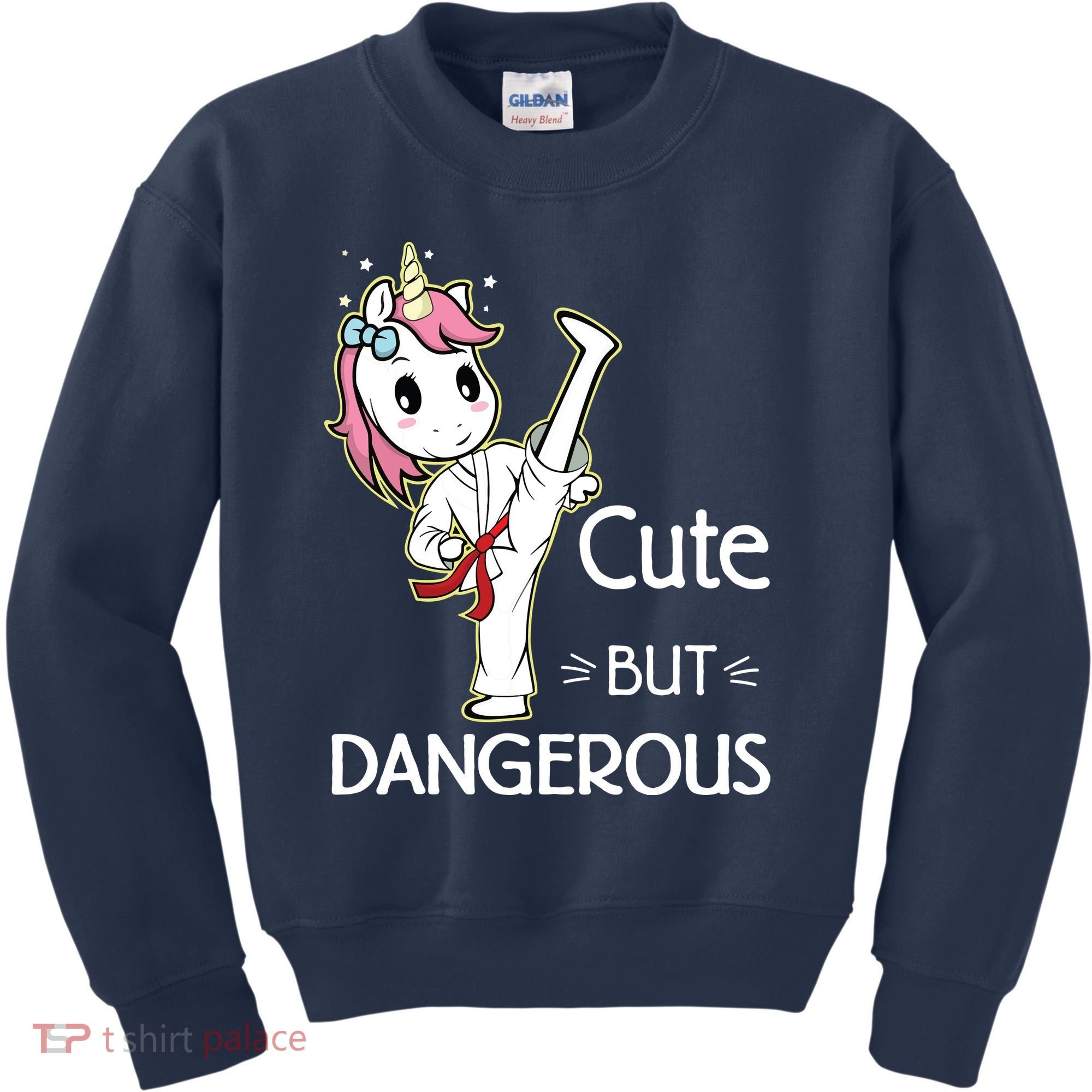 Cute But Dangerous Funny Karate Taekwondo Kids Sweatshirt