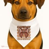 Coqutte Bow Football Game Day USA-Made Doggie Bandana thumb 1