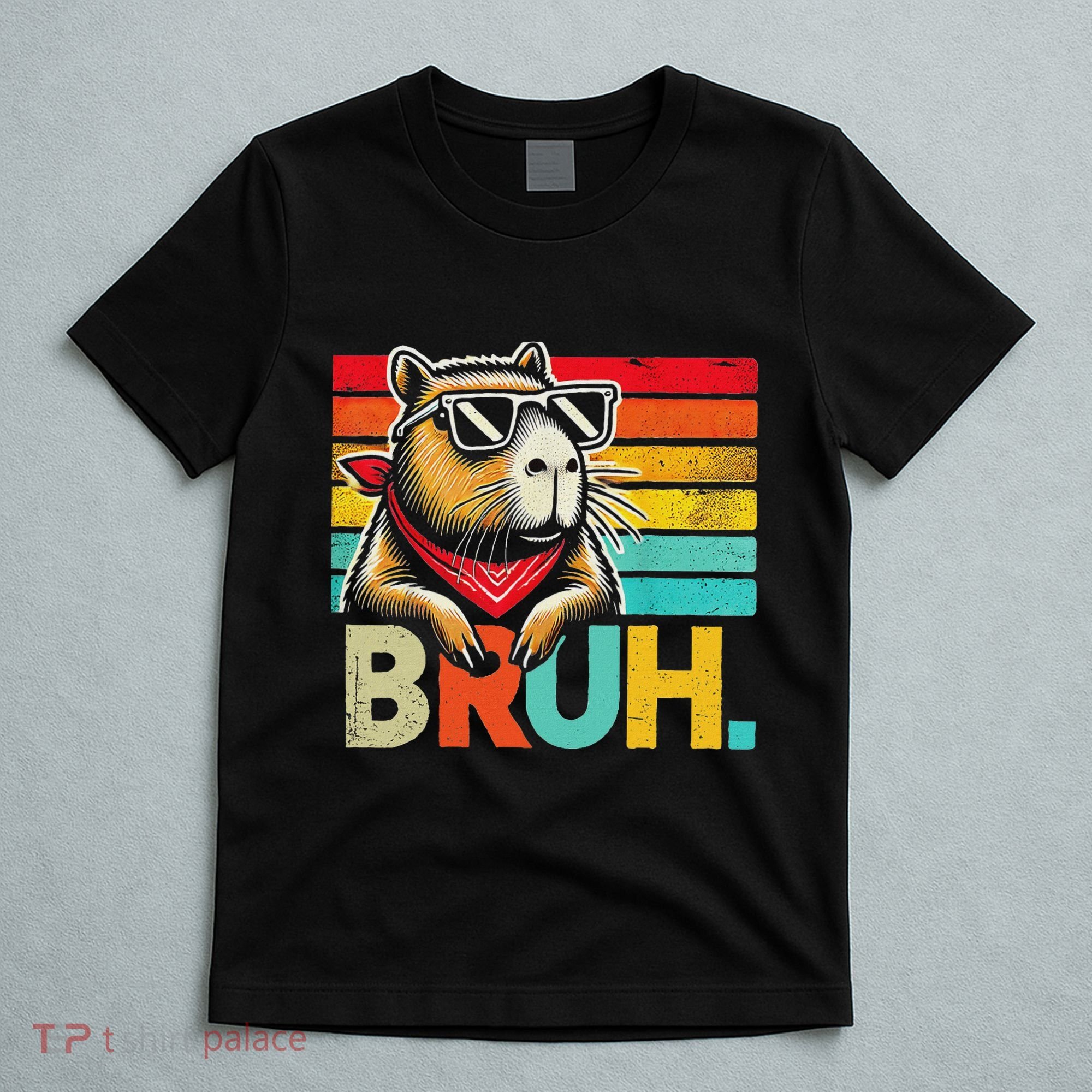 Capybara Bruh Funny Graphic Funny Capybara T-Shirt