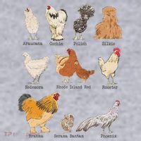 Chicken Breeds Farm Animals Day Support Local Farmer Women's Sweatshirt thumb 2