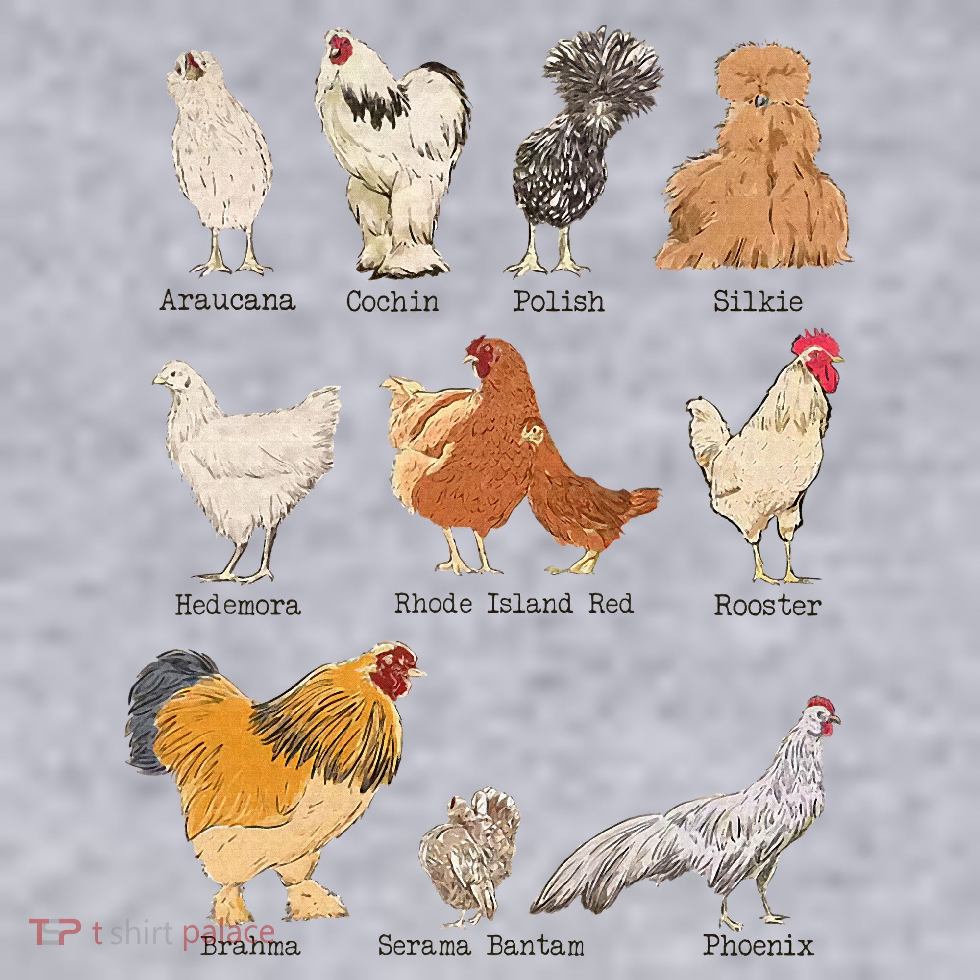 Chicken Breeds Farm Animals Day Support Local Farmer Women's Sweatshirt