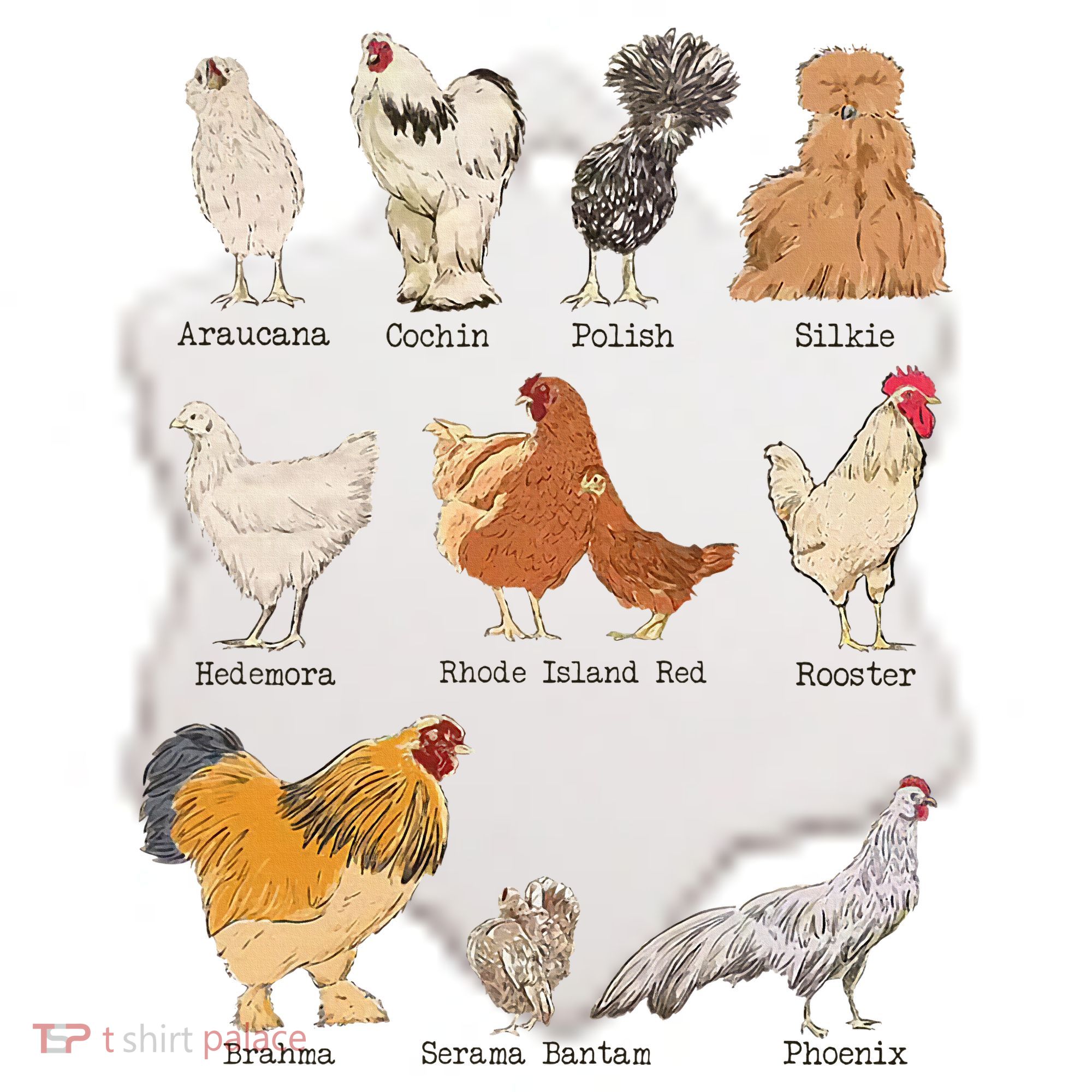 Chicken Breeds Farm Animals Day Support Local Farmer Ceramic Ornament
