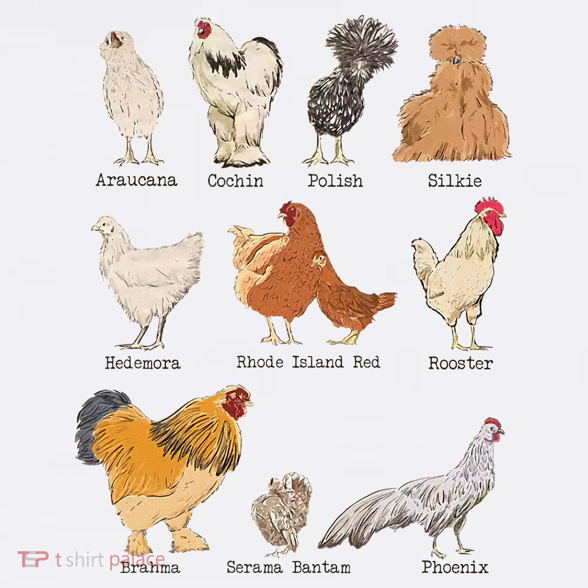 Chicken Breeds Farm Animals Day Support Local Farmer Mousepad