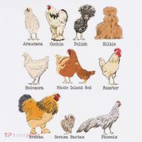 Chicken Breeds Farm Animals Day Support Local Farmer Tall Hoodie thumb 2