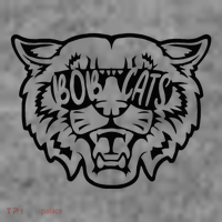 Cool Bobcat For Bobcats Sunglasses Toddler Hoodie thumb 2