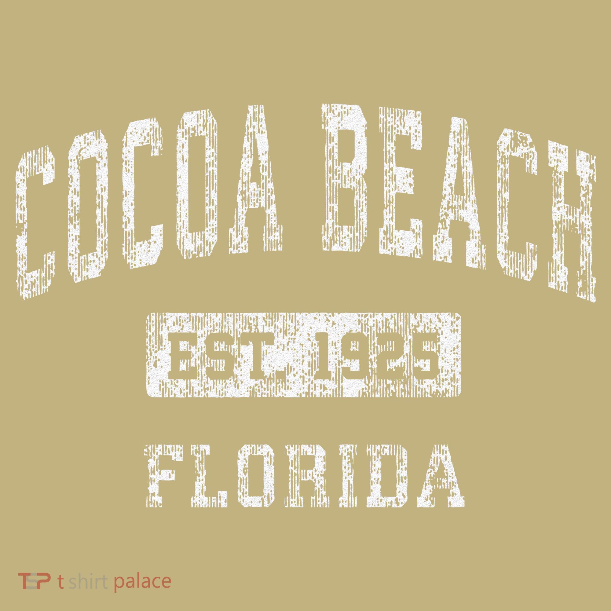 Cocoa Beach Florida Fl Vintage Established T-Shirt