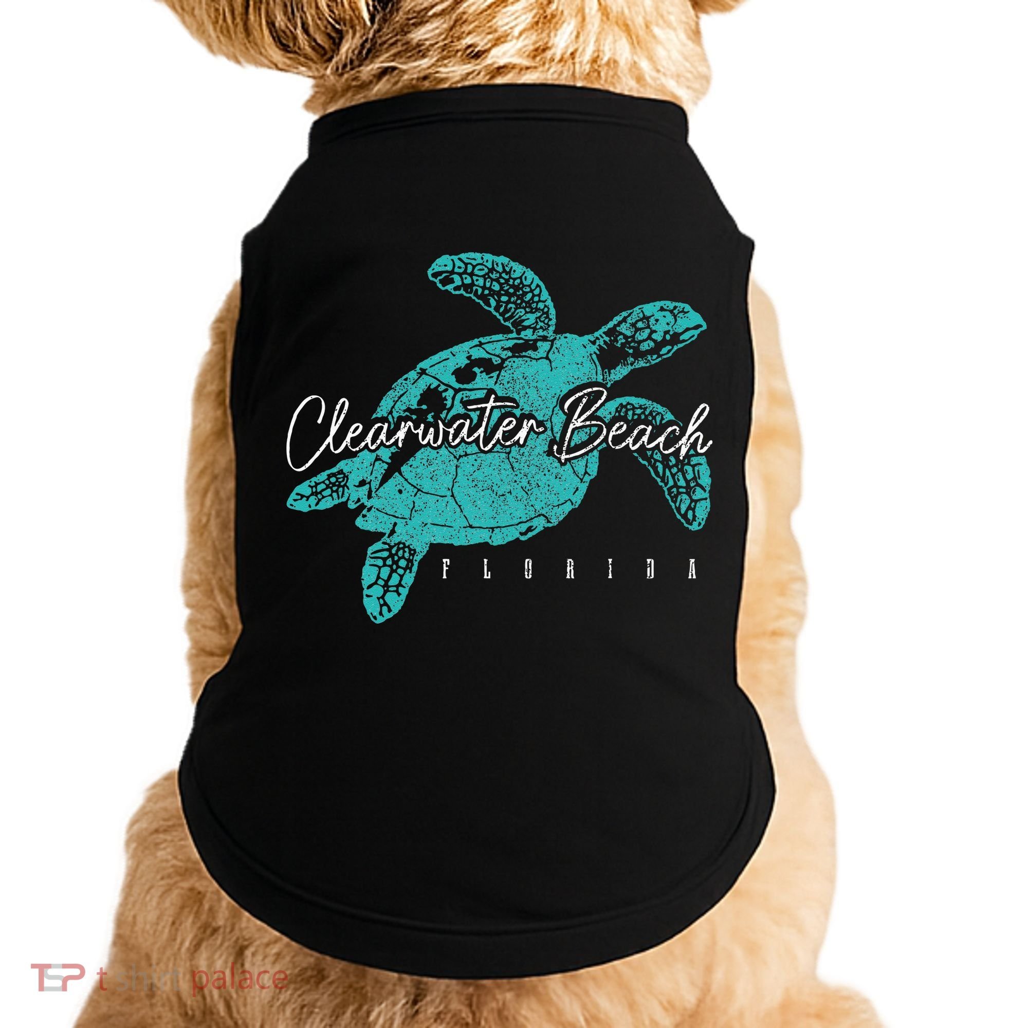 Clearwater Beach Florida FL Sea Turtle Scuba Diving Diver Doggie Tank