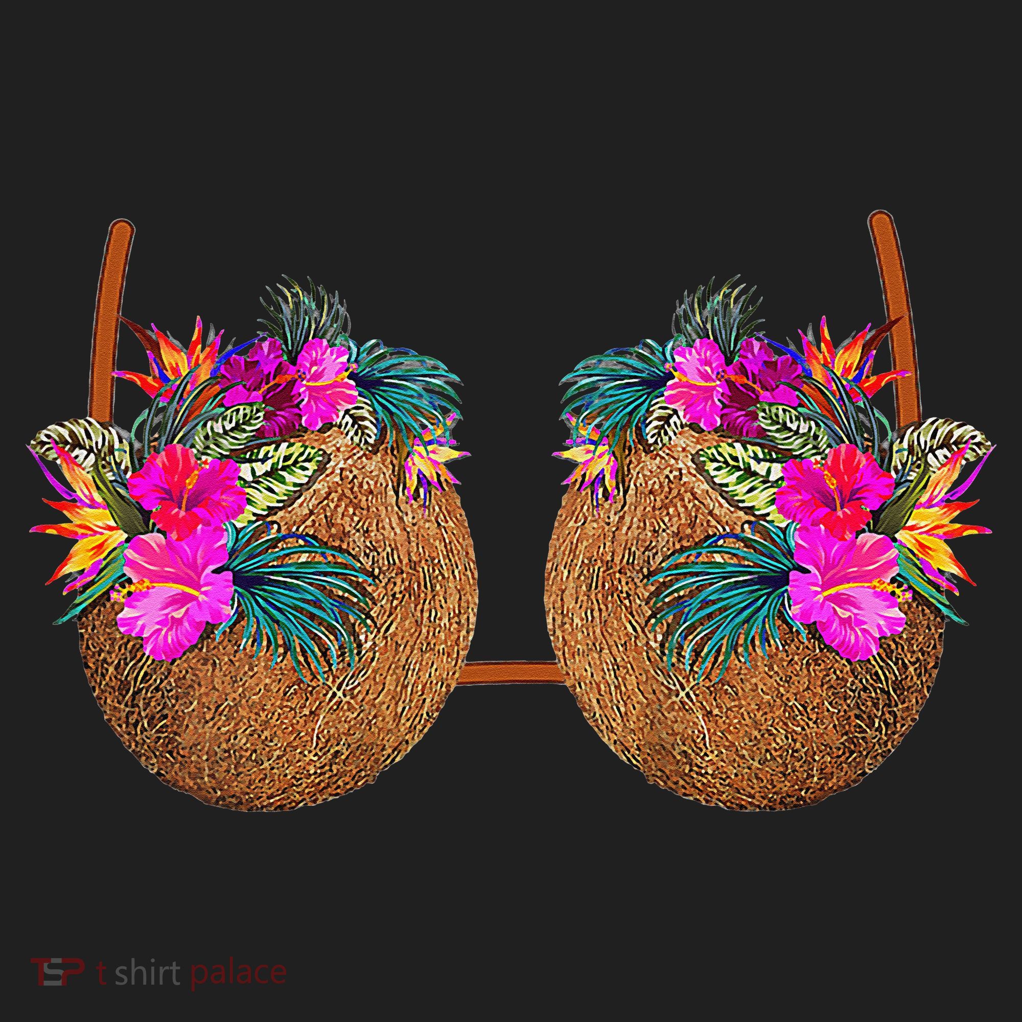 Coconut Bra Funny Bra Bra Hat