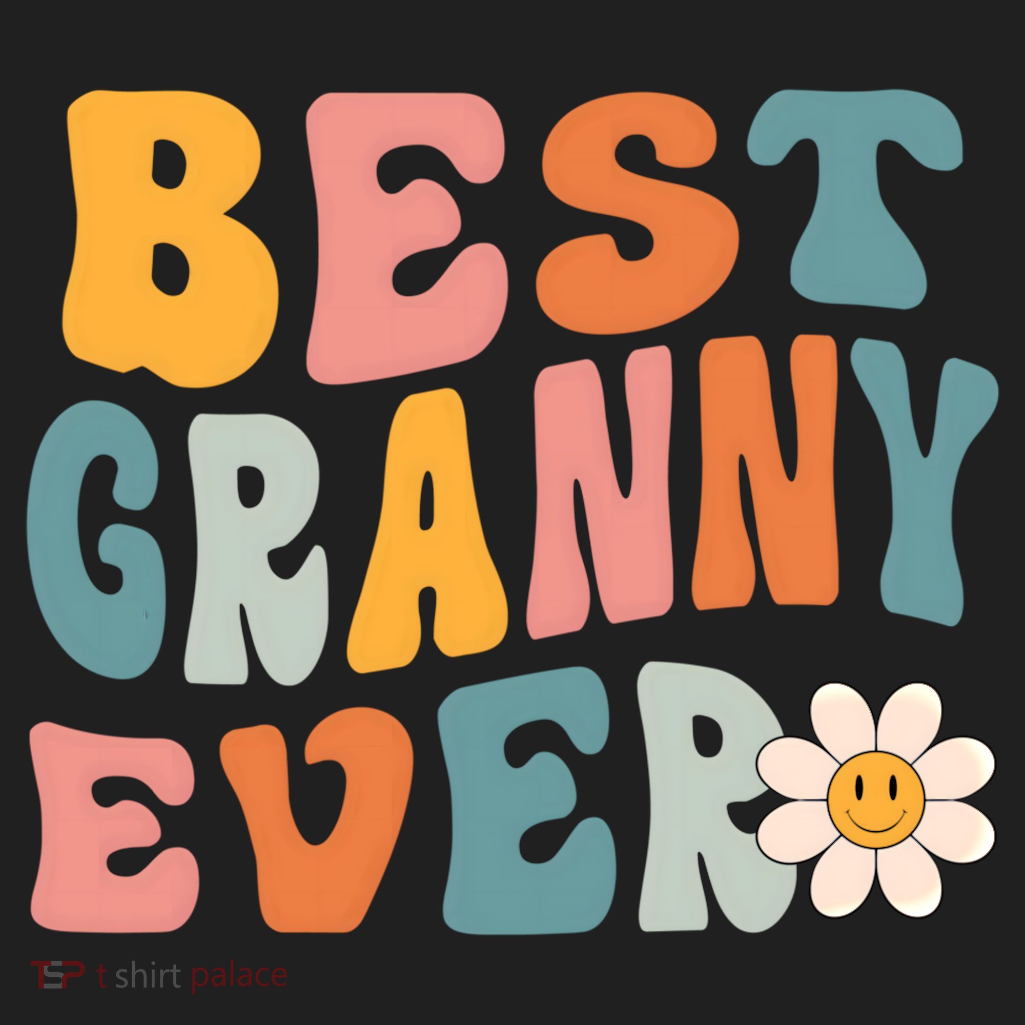 Cute Best Granny Ever Mothers Day Mom Grandma Gift Beanie