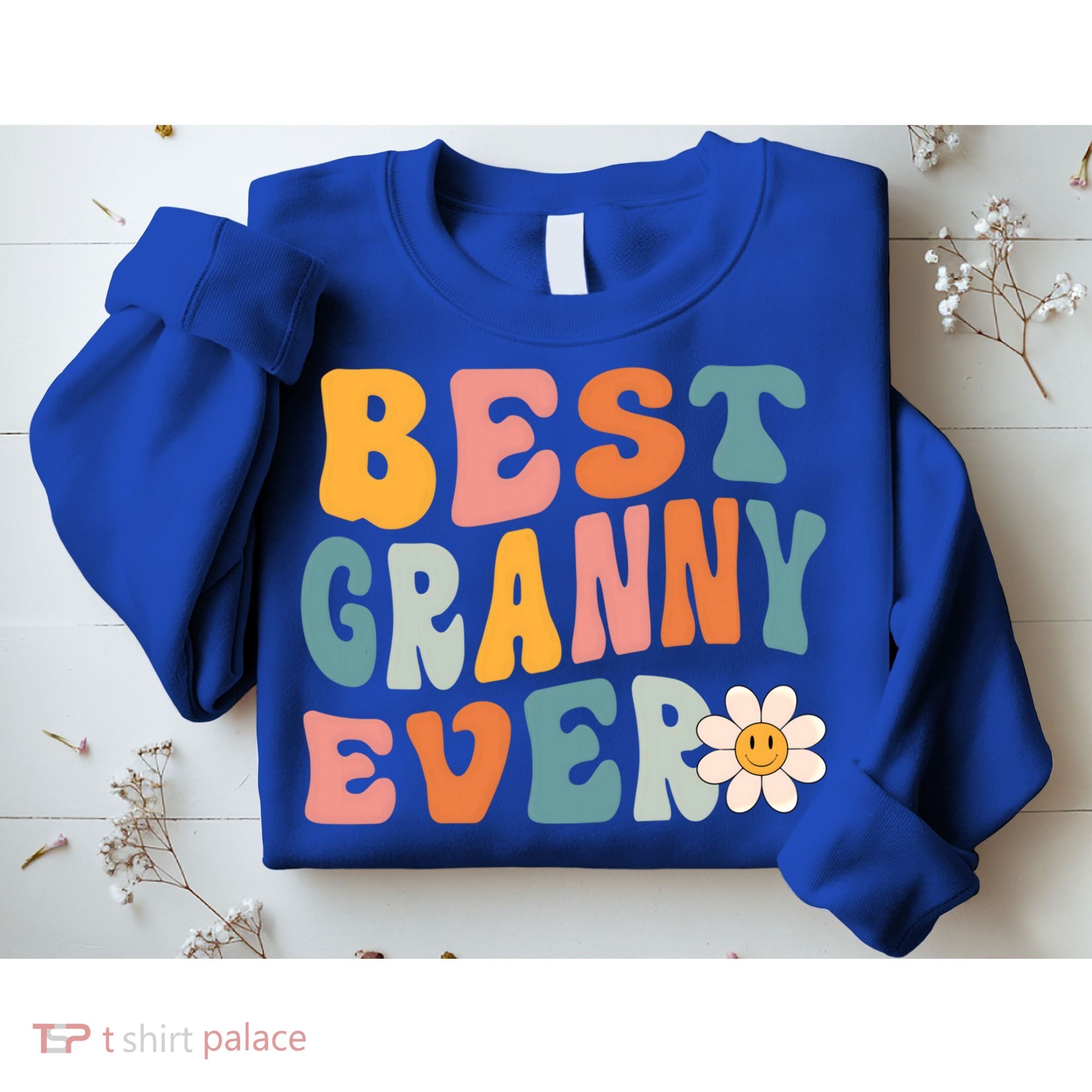 Cute Best Granny Ever Mothers Day Mom Grandma Gift Sweatshirt