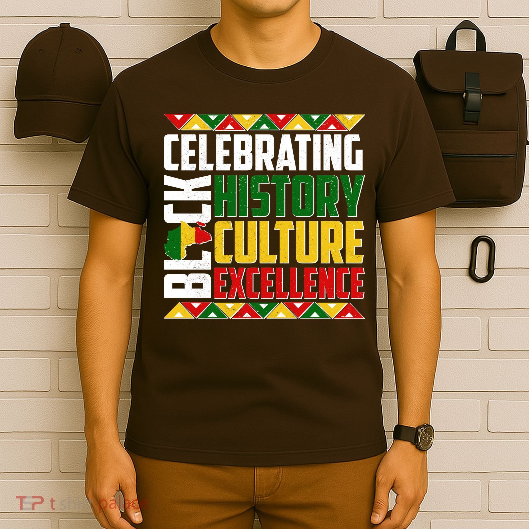 Celebrating Black History Culture Excellence T-Shirt