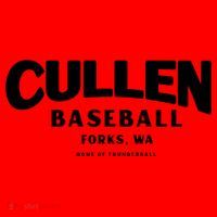 Cullen Baseball Home Of Thunderball Forks Washington Gift Santa Hat thumb 1