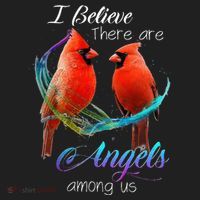 Cardinal Bird I Believe There Are Angels Among Us Tumbler thumb 3