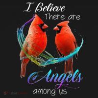 Cardinal Bird I Believe There Are Angels Among Us Women's T-Shirt thumb 6