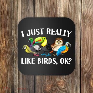 Cool Bird Lover Bird Watcher Nerd Parrot Birds Coaster