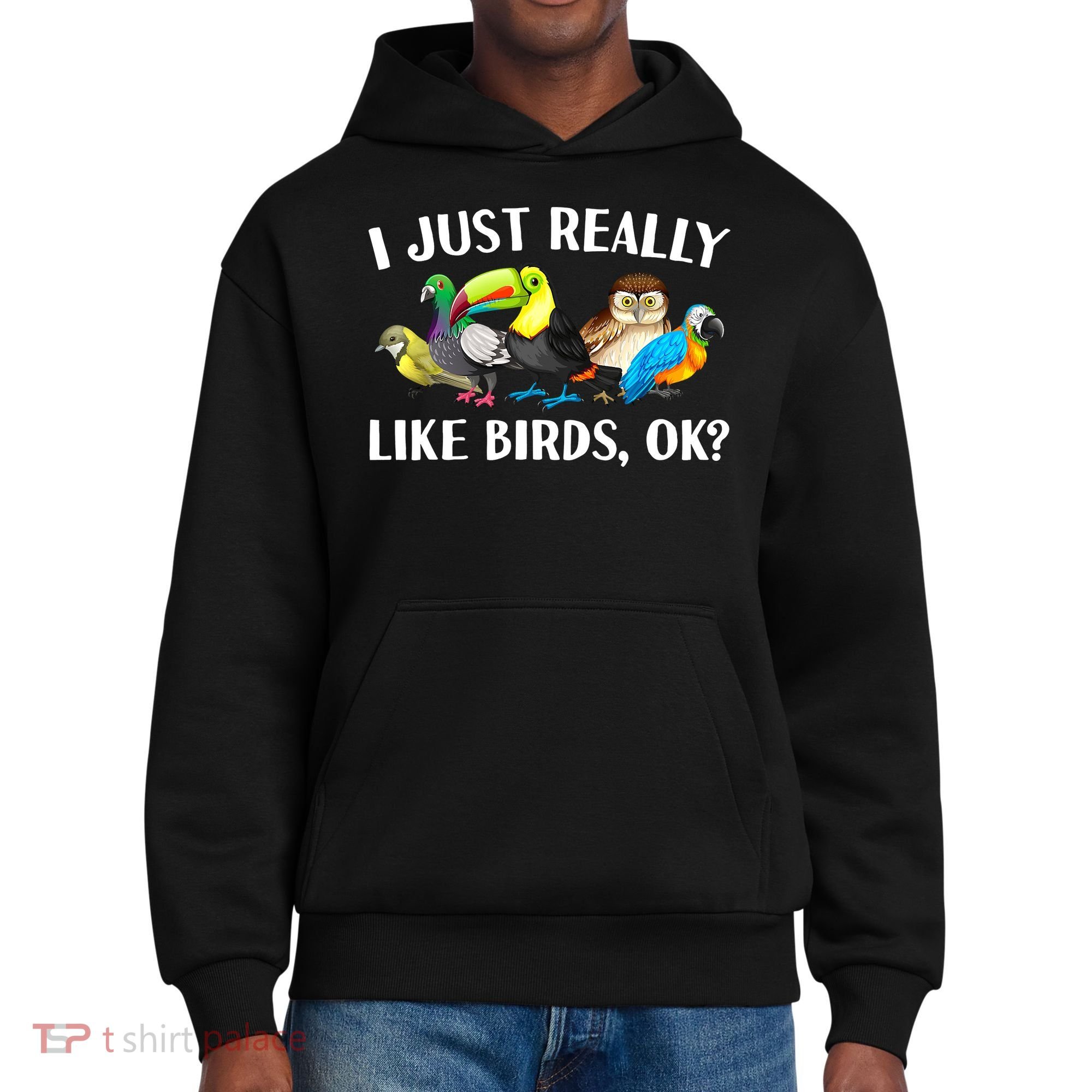 Cool Bird Lover Bird Watcher Nerd Parrot Birds District V.I.T. Heavyweight Hoodie