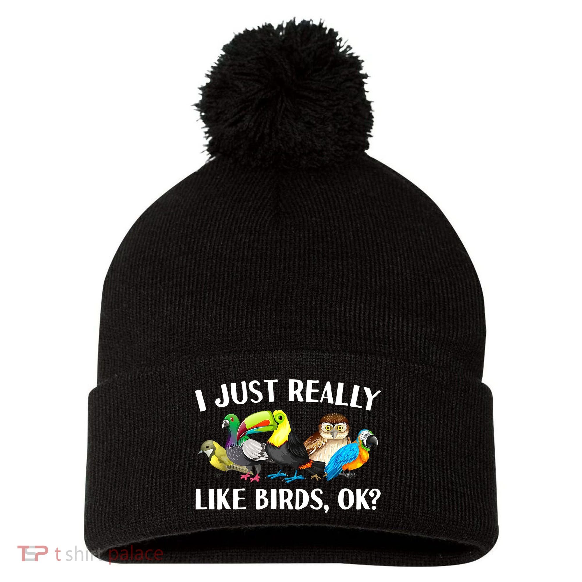 Cool Bird Lover Bird Watcher Nerd Parrot Birds Pom Pom 12in Knit Beanie