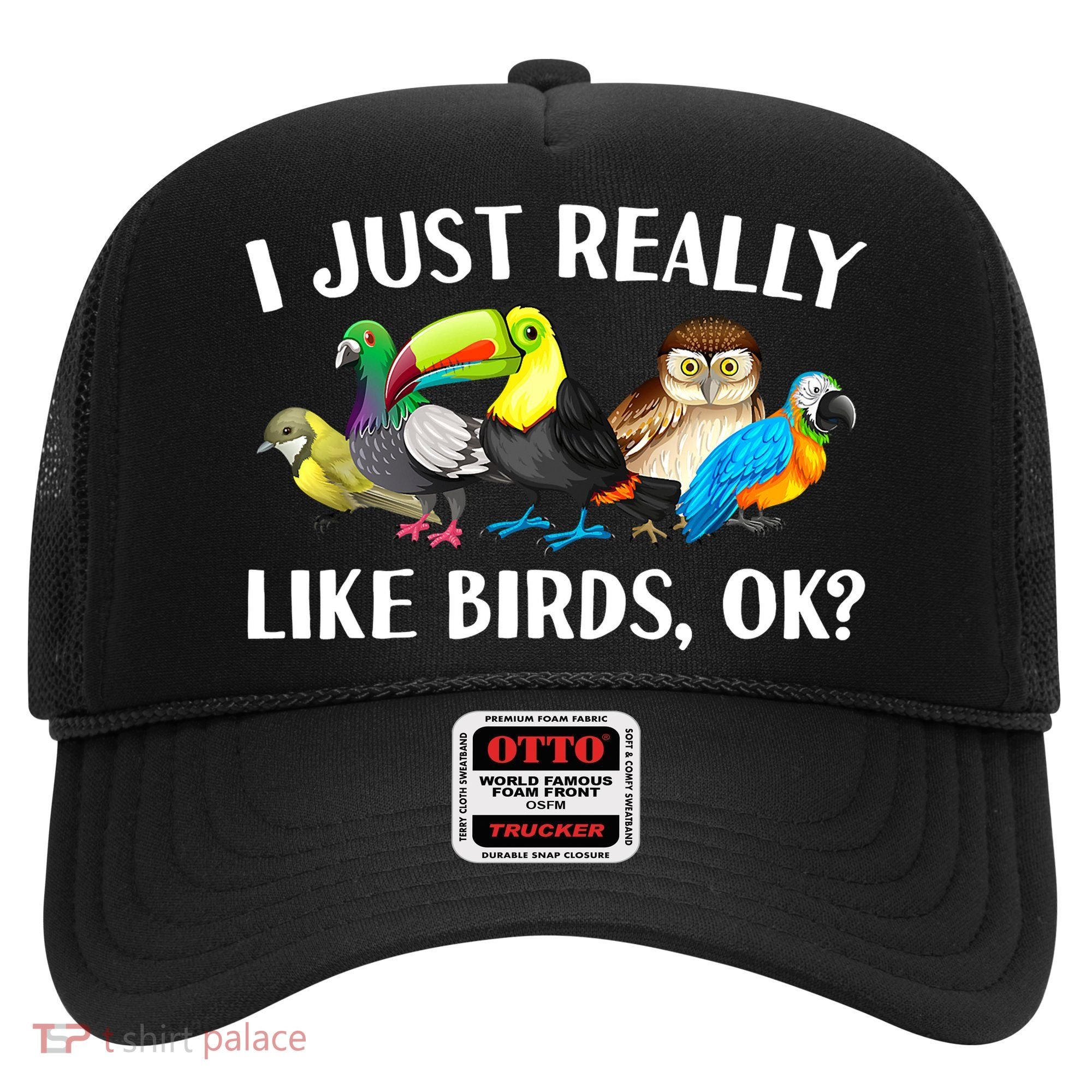 Cool Bird Lover Bird Watcher Nerd Parrot Birds Hat