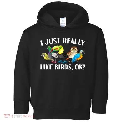 Toddler Hoodie