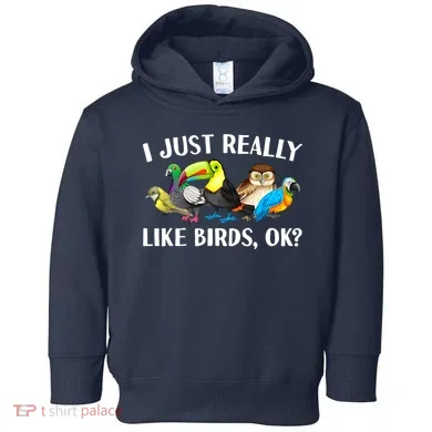 Toddler Hoodie