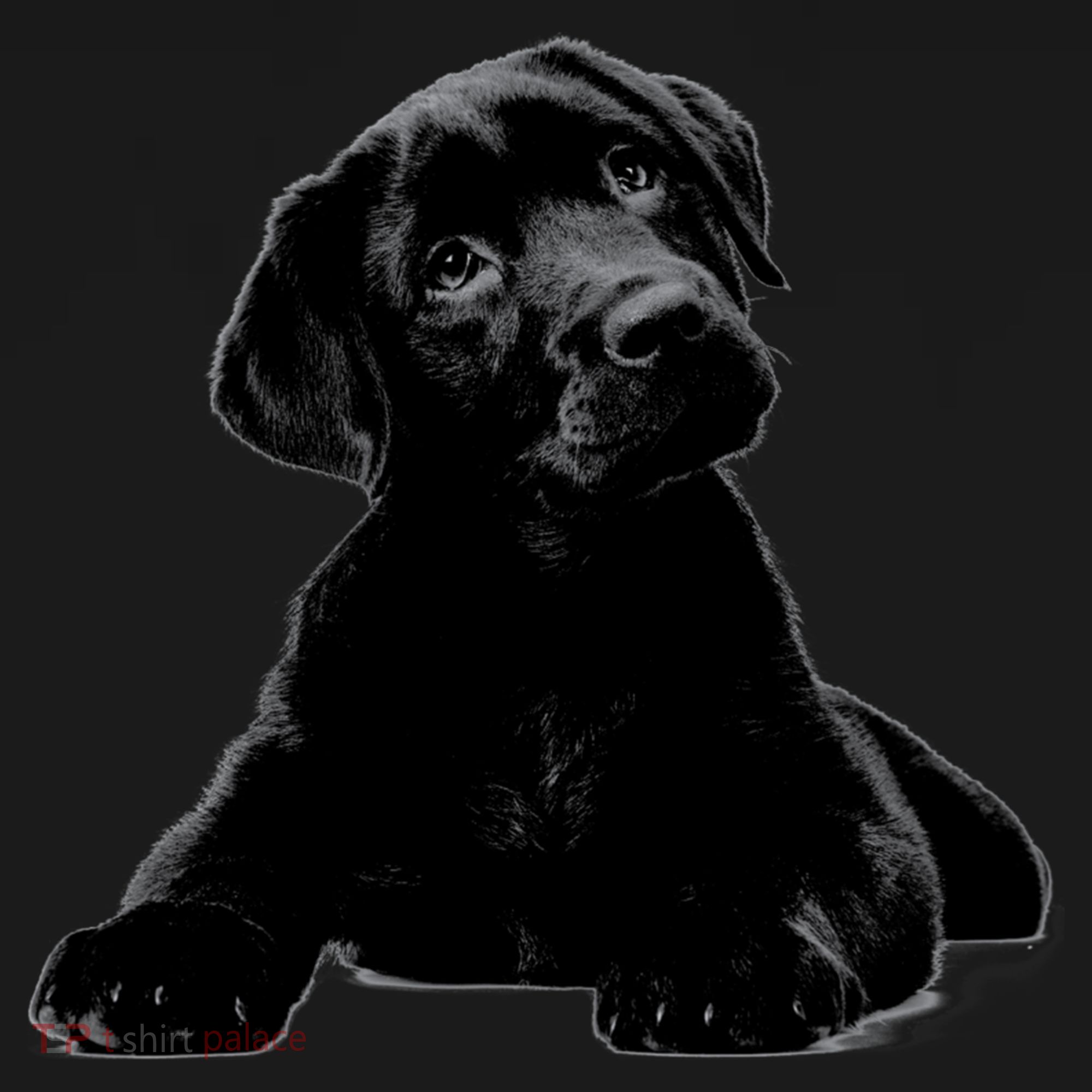 Cute Black Lab Puppy Dog Animal Lover Gift Ornament