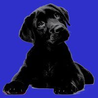 Cute Black Lab Puppy Dog Animal Lover Gift Mousepad thumb 1