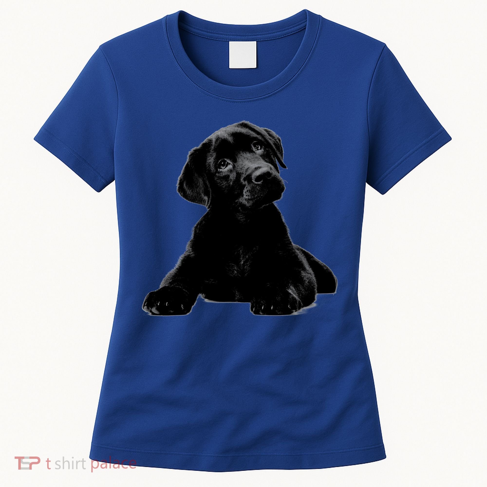 Cute Black Lab Puppy Dog Animal Lover Gift Women's T-Shirt