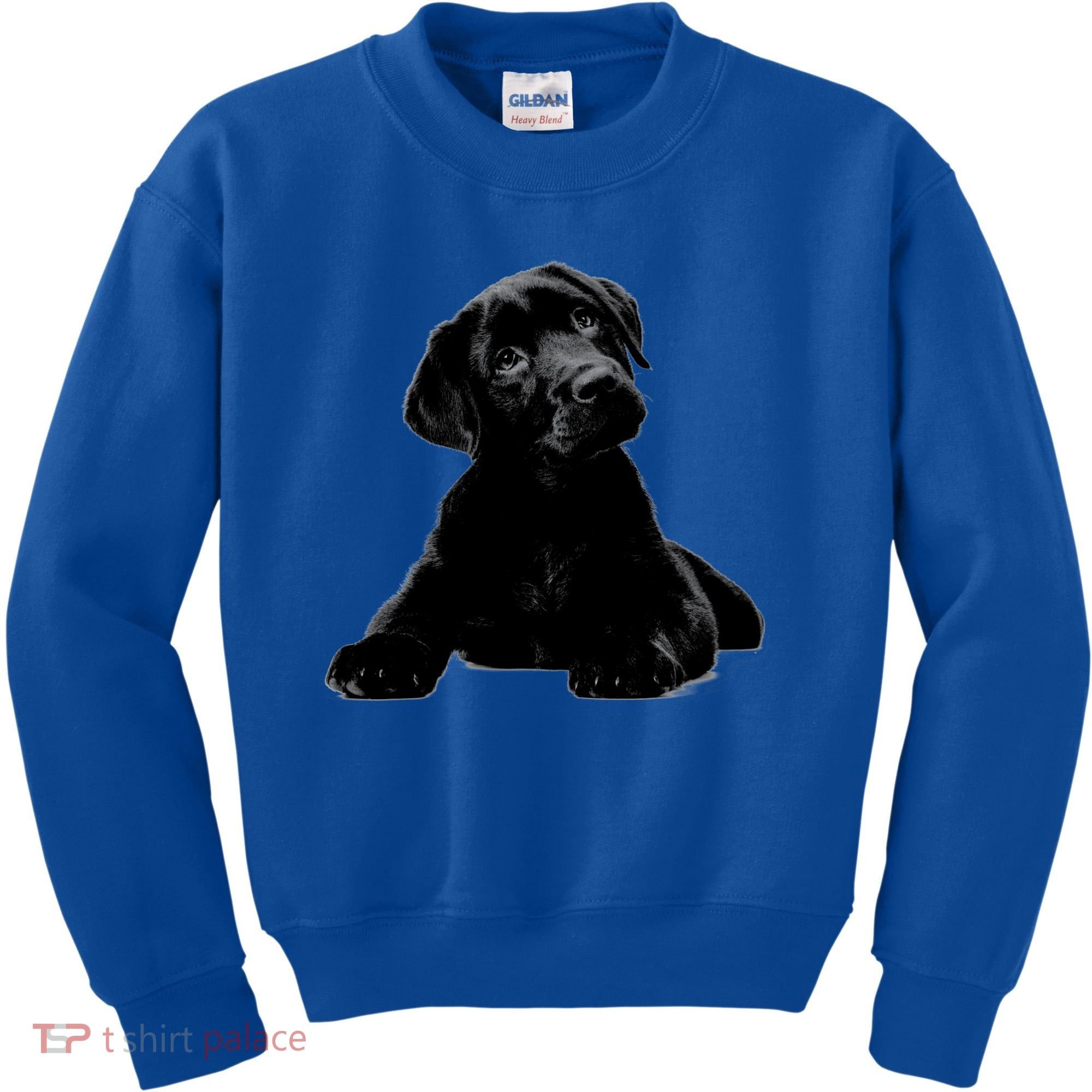 Cute Black Lab Puppy Dog Animal Lover Gift Kids Sweatshirt
