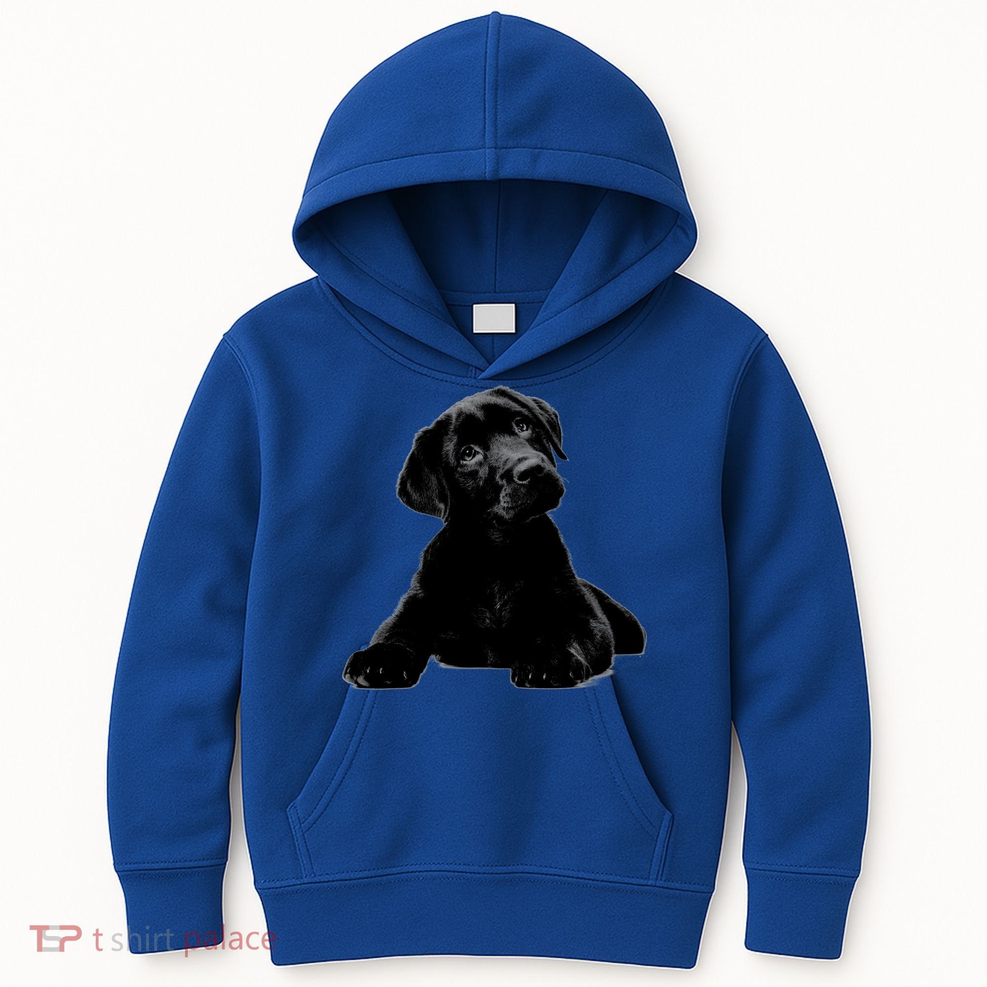Cute Black Lab Puppy Dog Animal Lover Gift Kids Hoodie