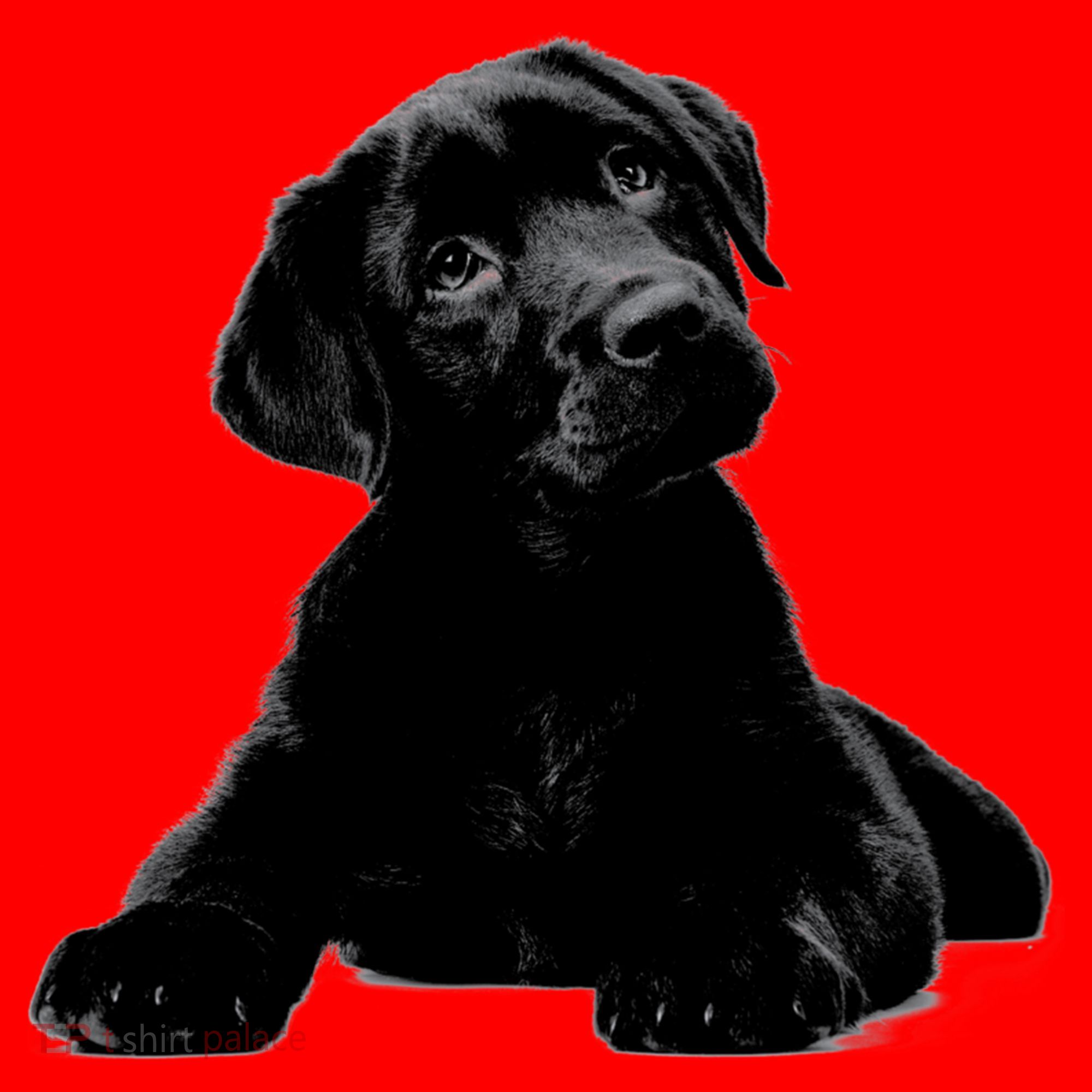 Cute Black Lab Puppy Dog Animal Lover Gift Santa Hat
