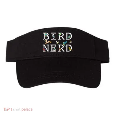 Visor
