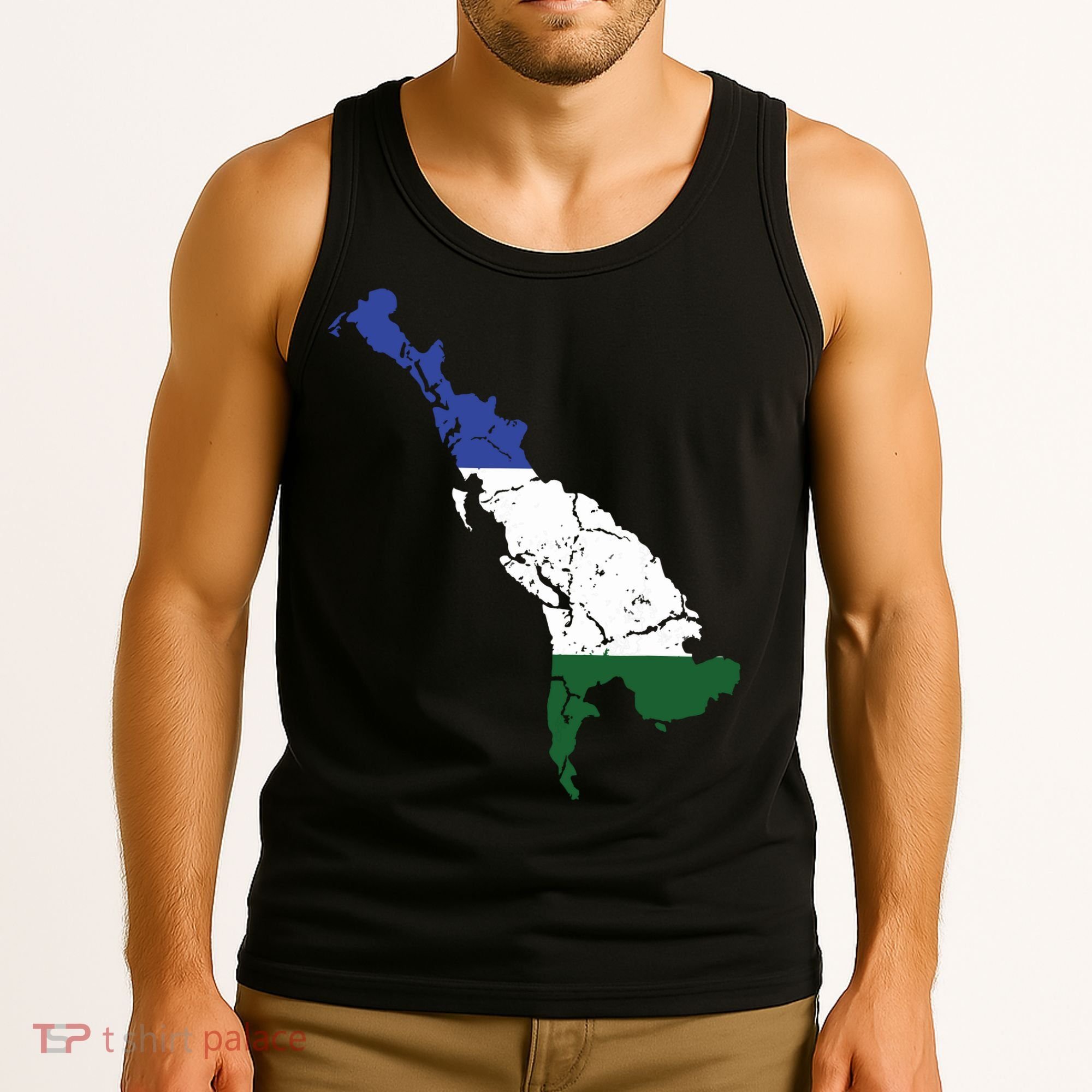 Cascadia Bioregion Map Flag Independence Distressed Tank Top
