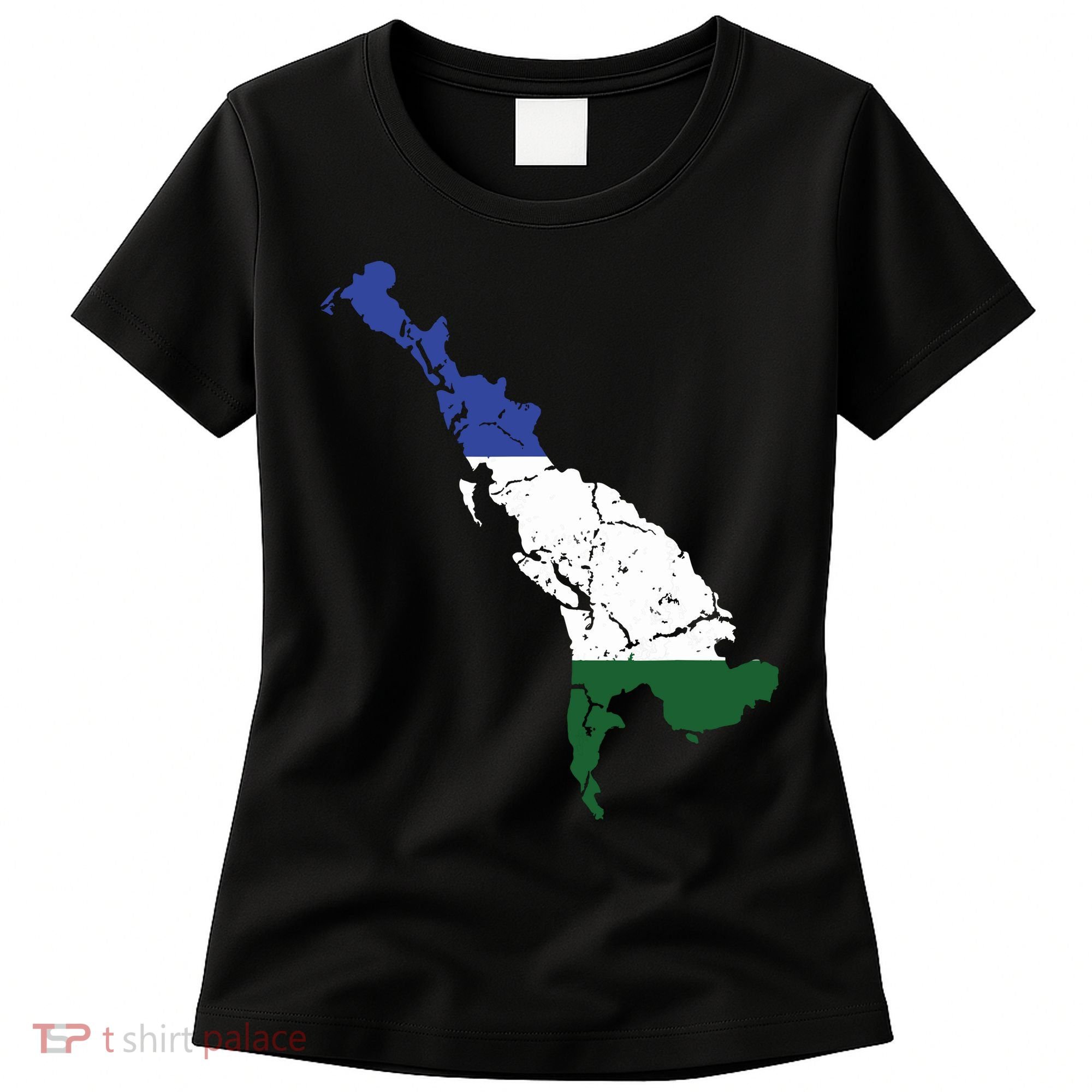 Cascadia Bioregion Map Flag Independence Distressed Women's T-Shirt