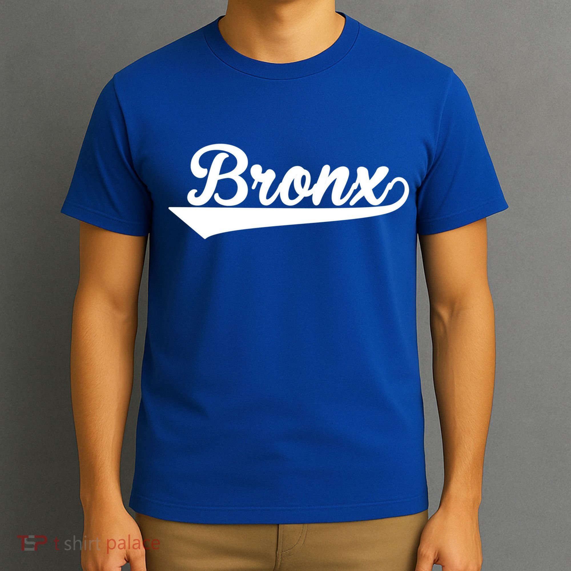 Classic Bronx New York Gift T-Shirt
