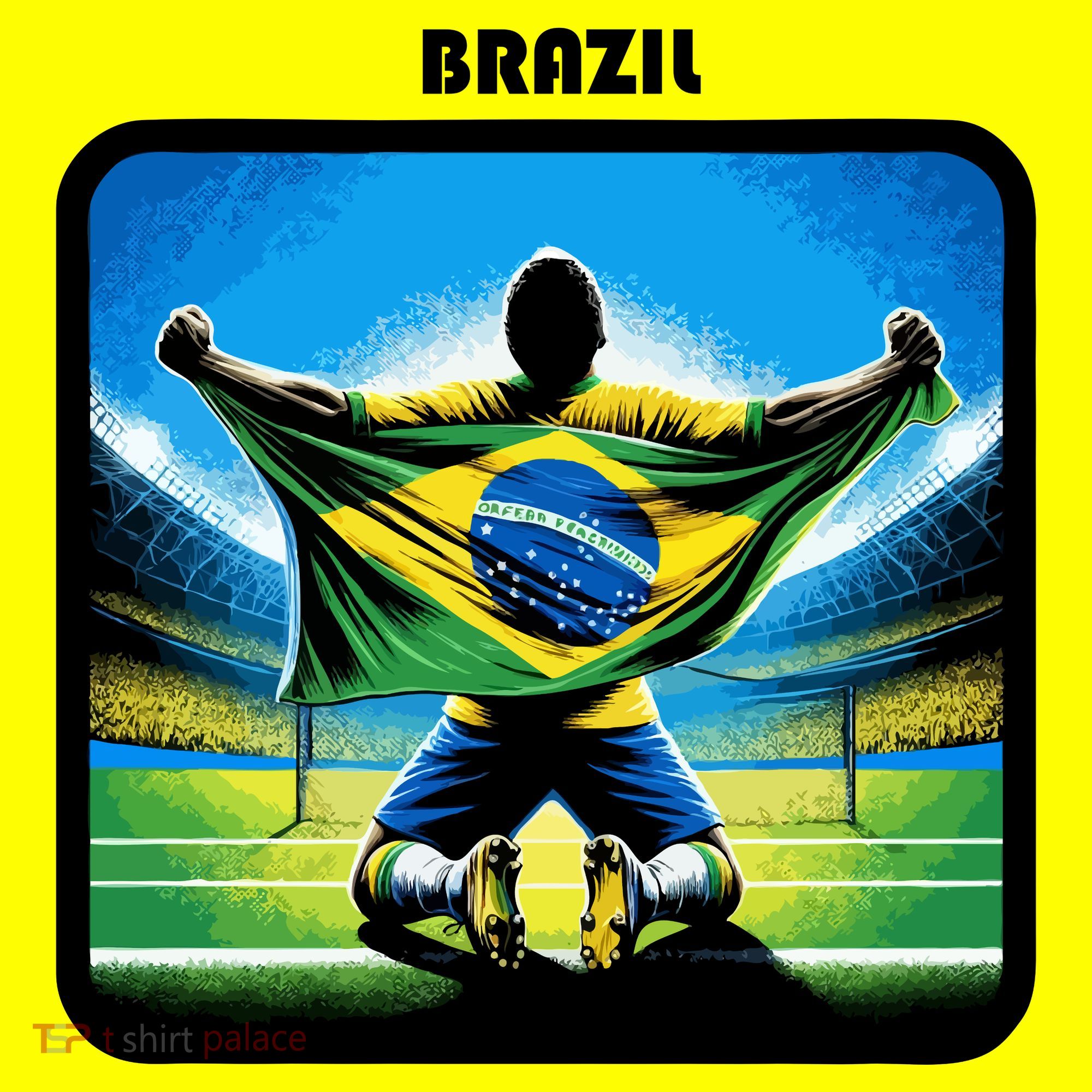 Cool Brazil National Soccer Team With Flag T-Shirt
