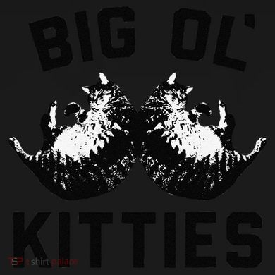 Cat Big Ol Kitties Cat Lover Bucket Hat