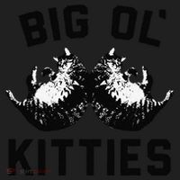 Cat Big Ol Kitties Cat Lover Beanie thumb 2