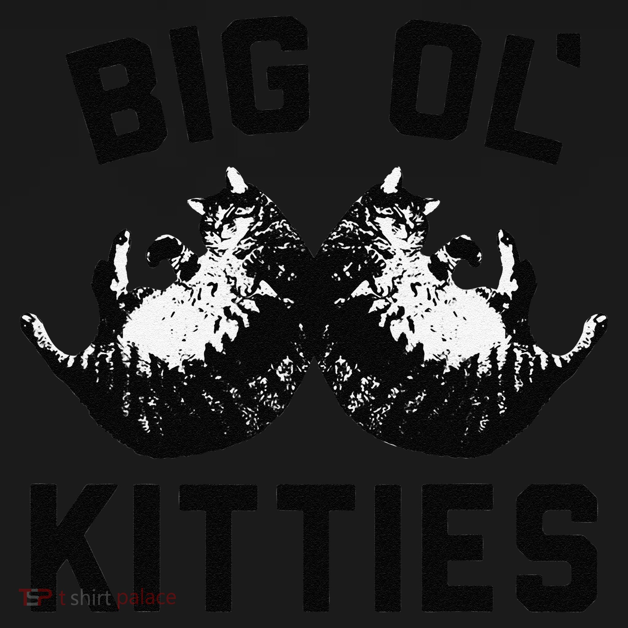 Cat Big Ol Kitties Cat Lover Pajama Set