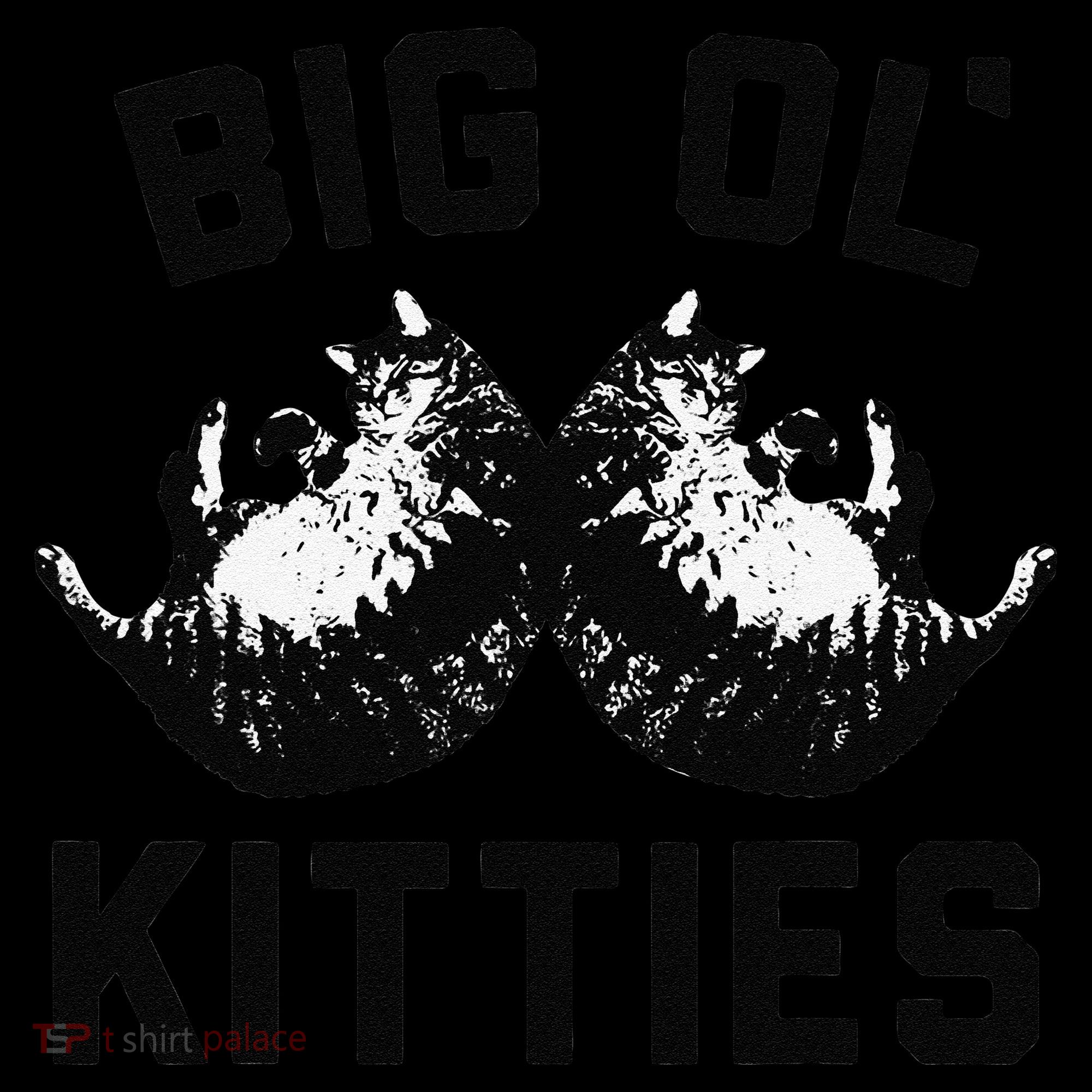 Cat Big Ol Kitties Cat Lover Kids Sweatshirt