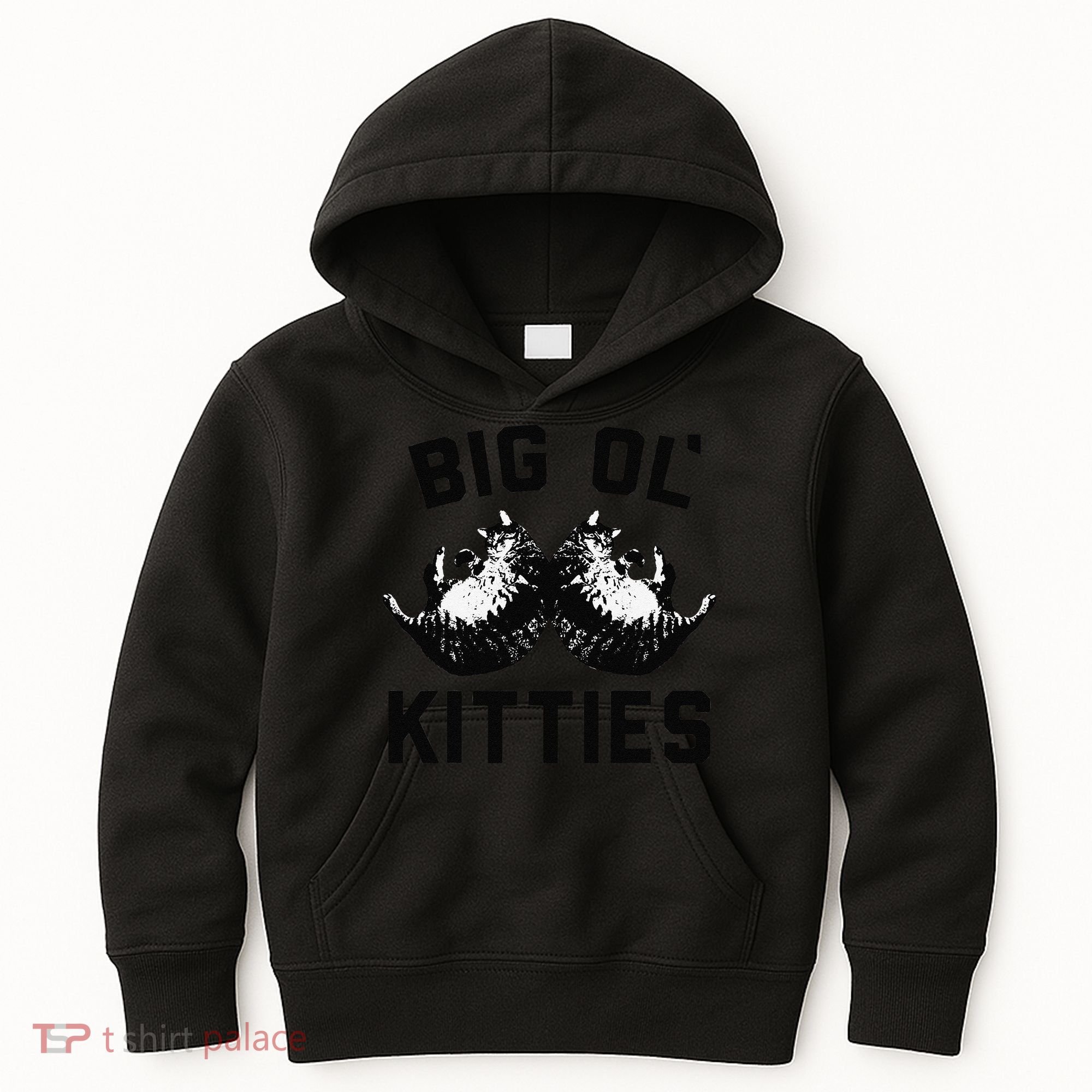 Cat Big Ol Kitties Cat Lover Kids Hoodie