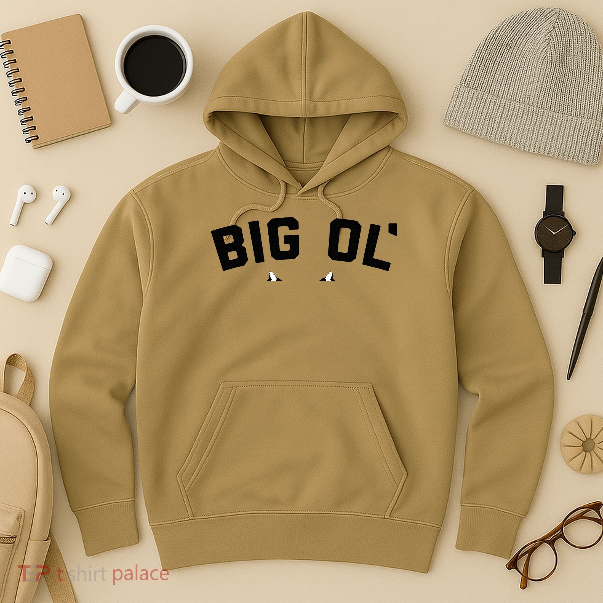 Cat Big Ol Kitties Cat Lover Hoodie