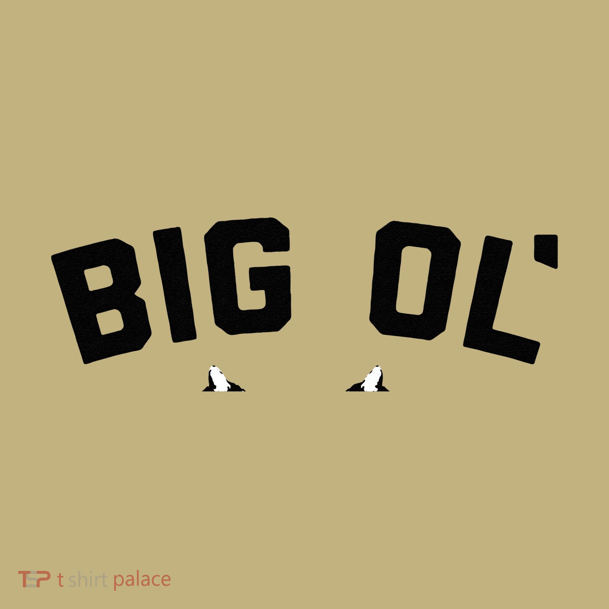 Cat Big Ol Kitties Cat Lover Sweatshirt