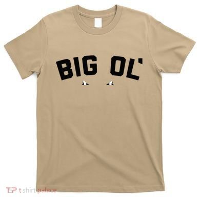 Cat Big Ol Kitties Cat Lover T-Shirt