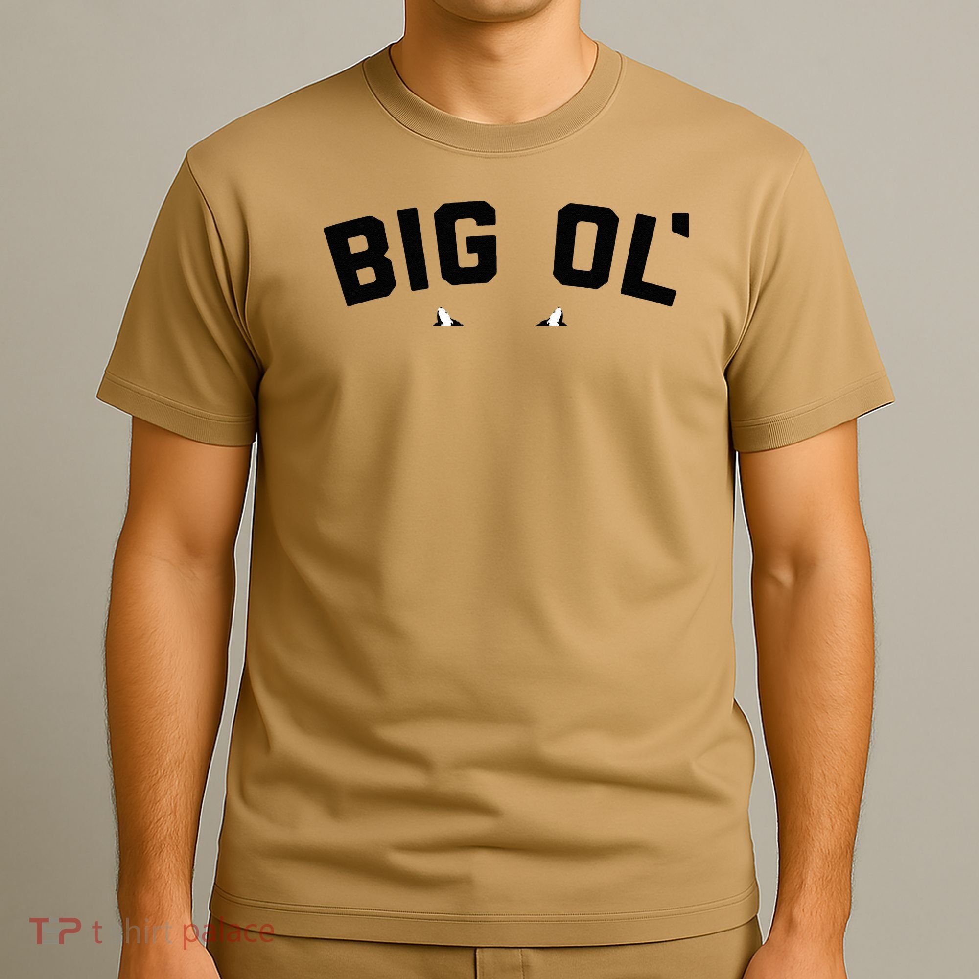 Cat Big Ol Kitties Cat Lover T-Shirt