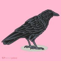 Crow Bird O White Surface Coaster thumb 2