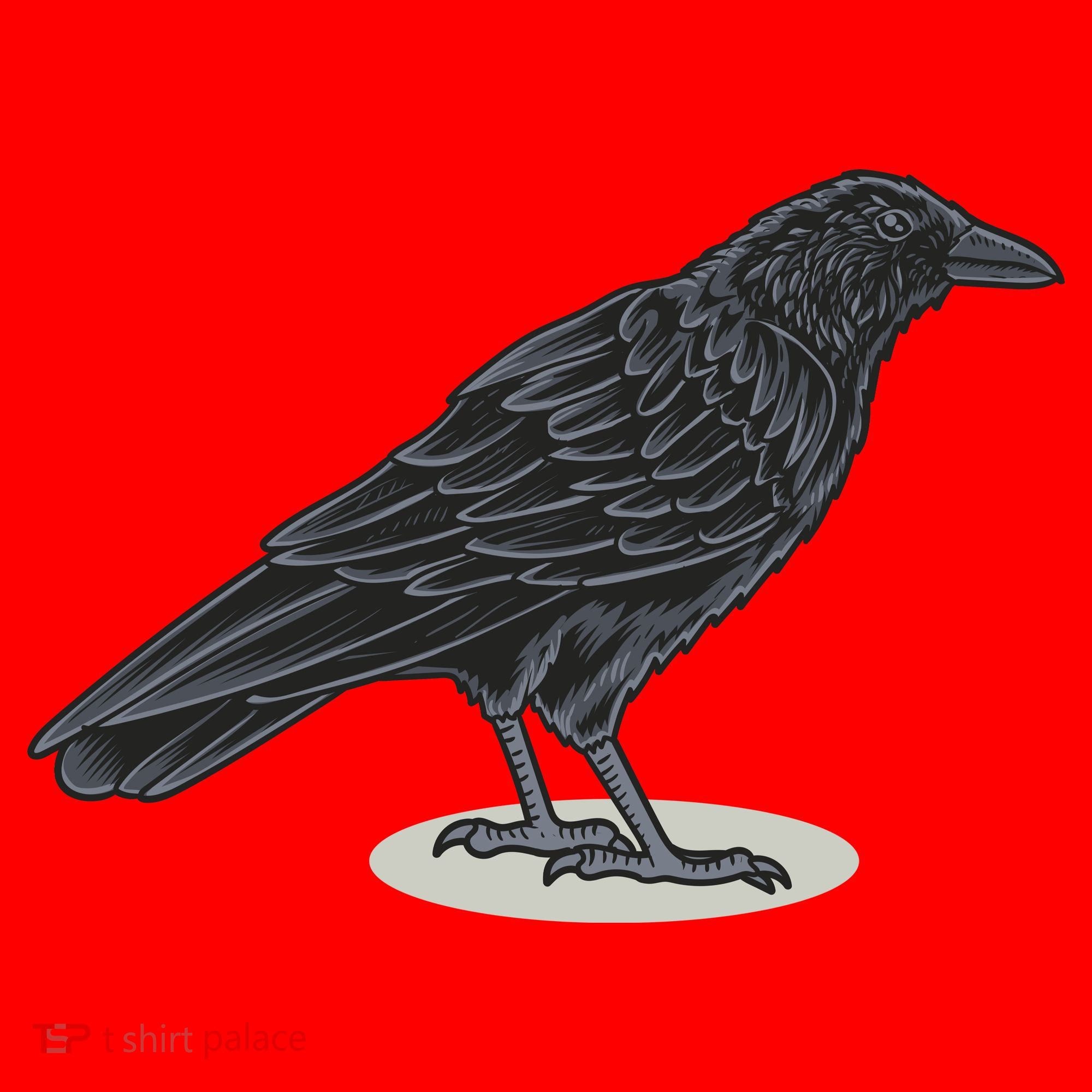 Crow Bird O White Surface Santa Hat